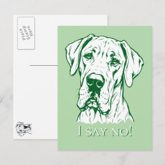 Line Drawing Great Dane Portrait  Postcard