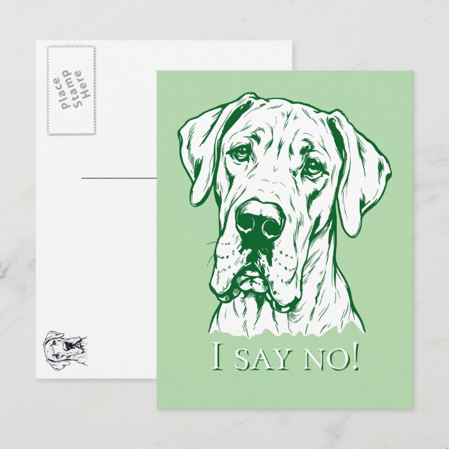 Line Drawing Great Dane Portrait  Postcard (Front/Back)