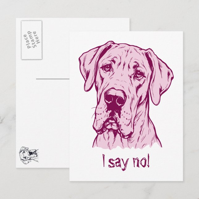 Line Drawing Great Dane Portrait  Postcard (Front/Back)