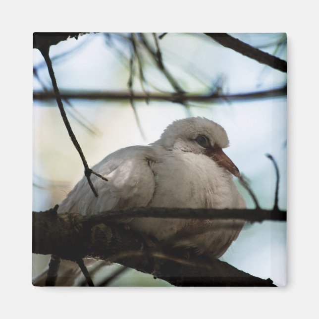 Line Master Magnet (Front)