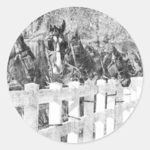 Line of Amish Horses Black and white Classic Round Sticker