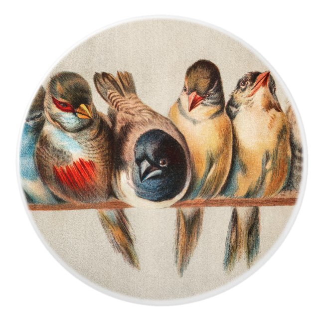 Line of Birds & Dove Ceramic Knob (Front)