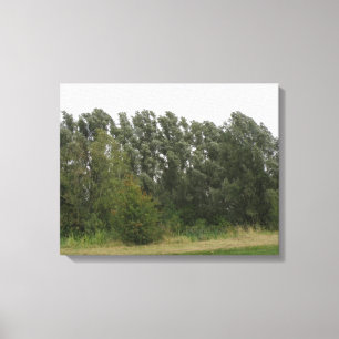 Line of Leaning Trees Landscape Canvas Print