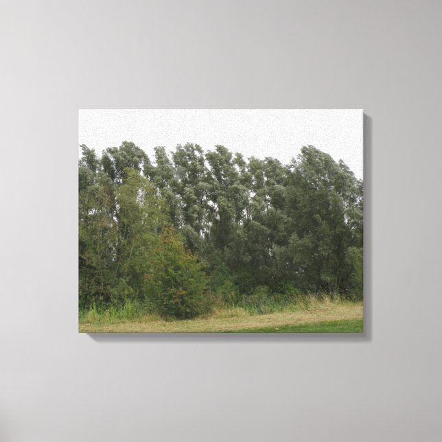 Line of Leaning Trees Landscape Canvas Print (Front)