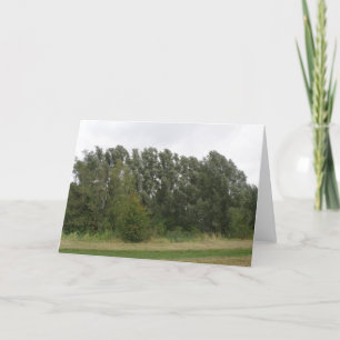 Line of Leaning Trees Landscape Greeting Card