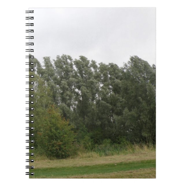 Line of Leaning Trees Landscape Notebook (Front)