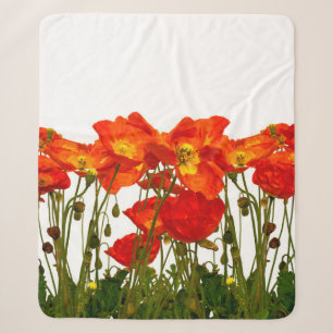 Line of red poppies isolatedart, background, beaut sherpa blanket
