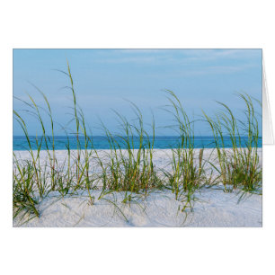 Line Of Sea Oats In White Sand Greeting Card