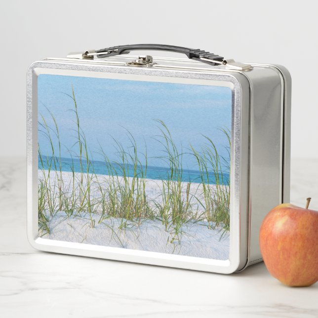 Line Of Sea Oats In White Sand Metal Lunch Box (In Situ)