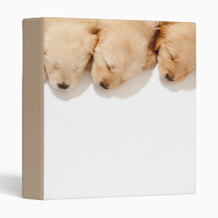 Line of Sleeping Golden Retriever Puppies Binder