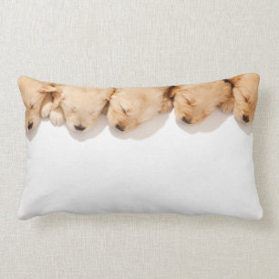 Line of Sleeping Golden Retriever Puppies Lumbar Pillow