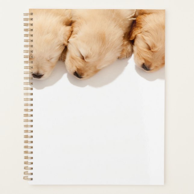 Line of Sleeping Golden Retriever Puppies Planner (Front)