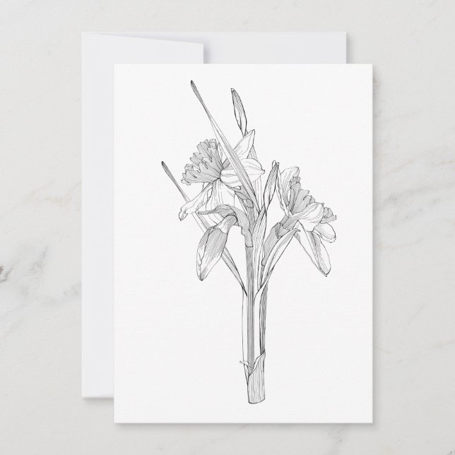Line sketch daffodils bouquet.  announcement (Front)