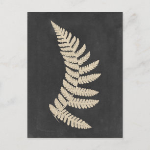 Linen Fern Postcard