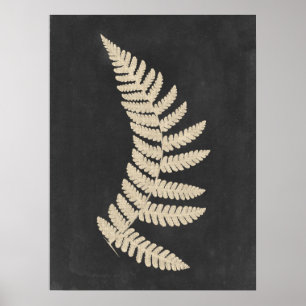 Linen Fern Poster