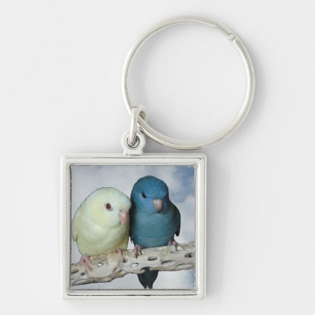 Lineolated parakeet pair keychain (Front)