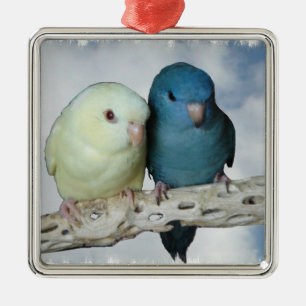 Lineolated parakeet pair metal ornament