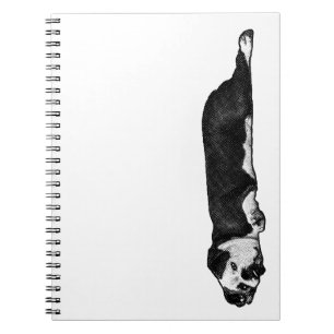 Lines & Lazy Thoughts Notebook