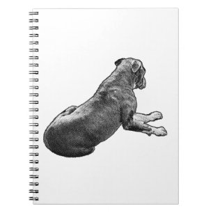Lines, Lists, Backseat Notebook