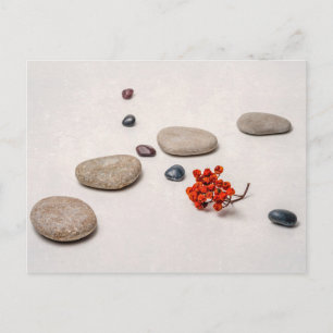 Lines Of Life Postcard