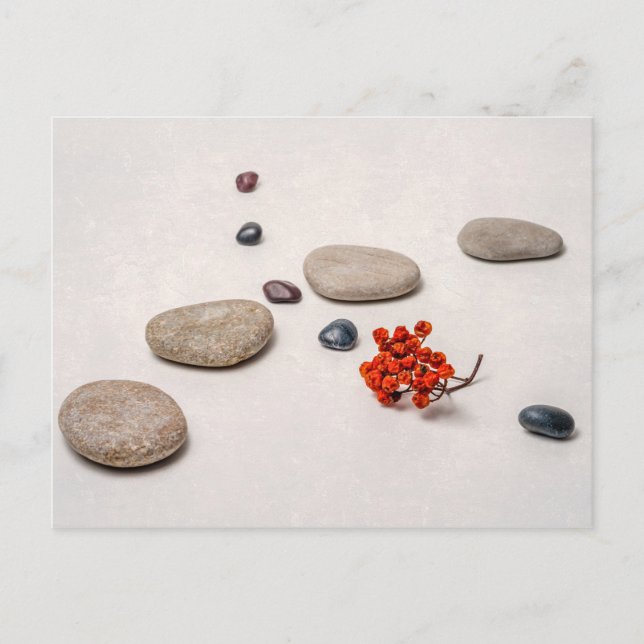 Lines Of Life Postcard (Front)