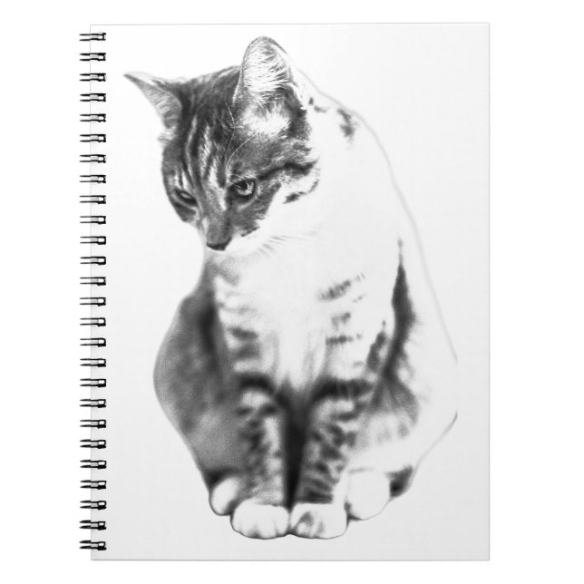 Lines of Quiet Grace Notebook (Front)