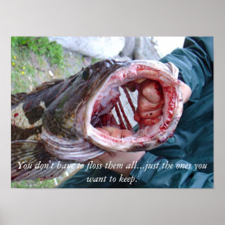 Ling cod poster at the Washington coast.