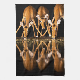 LINGE DE CUISINE 
