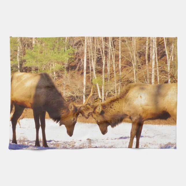 Linge De Cuisine 2~ deux Bull Elk dans la neige (Horizontal)