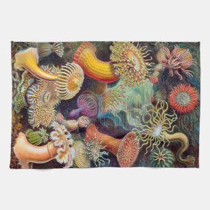 Linge De Cuisine Actinie d'Ernst Haeckel Actiniaea