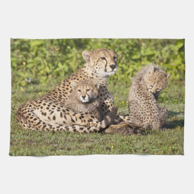 Linge De Cuisine Afrique. Tanzanie. Cheetah mère et petits 2 (Horizontal)