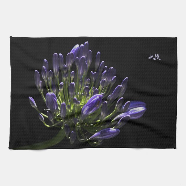 Linge De Cuisine Agapanthus pourpre de floraison ensoleillé, lis (Horizontal)