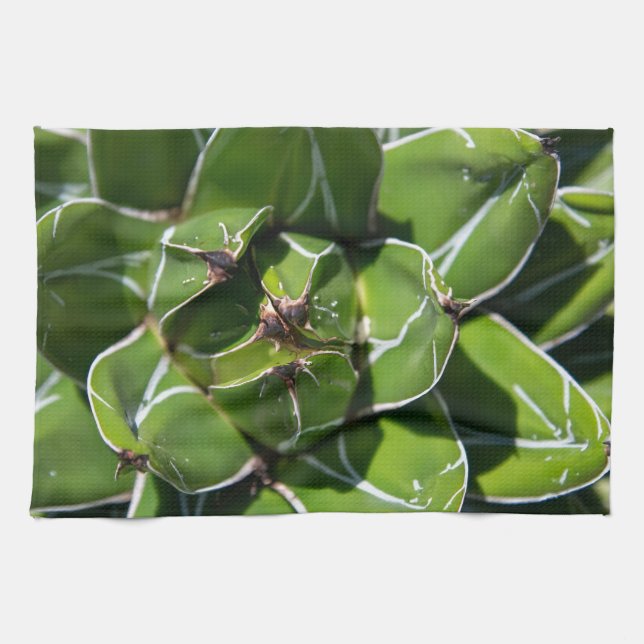 Linge De Cuisine Agave Victoria Succulent (Horizontal)