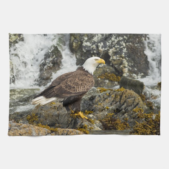 Linge De Cuisine Aigle à tête blanche (Horizontal)