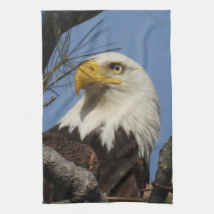 Linge De Cuisine Aigle mûre majestueuse dans le nid