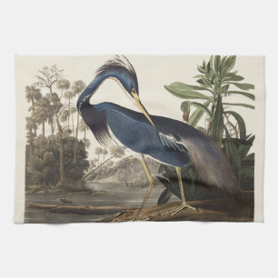 Linge De Cuisine Aigrette de Louisiane, oiseau, Art vintage d'Audub