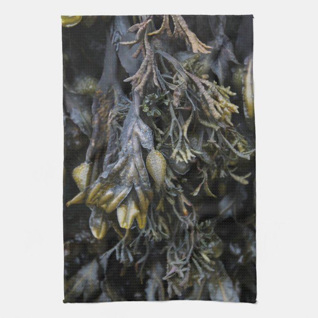Linge De Cuisine Algue (Vertical)