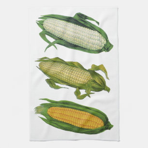 Linge De Cuisine Aliments vintages Légumes sains, Maïs frais sur le