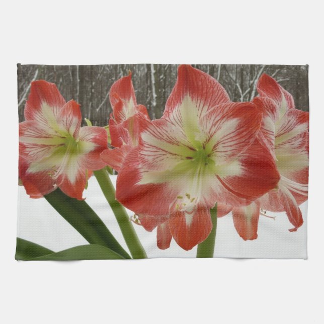 Linge De Cuisine Amaryllis en Fête Rouge Neige Hiver Floral (Horizontal)