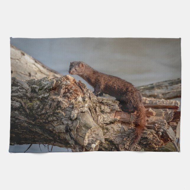 Linge De Cuisine American Mink (Horizontal)