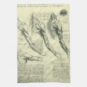 Linge De Cuisine Anatomie du bras et de l'épaule de Léonard de Vinc