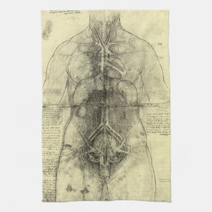 Linge De Cuisine Anatomie humaine de Léonard de Vinci, Torse fémini