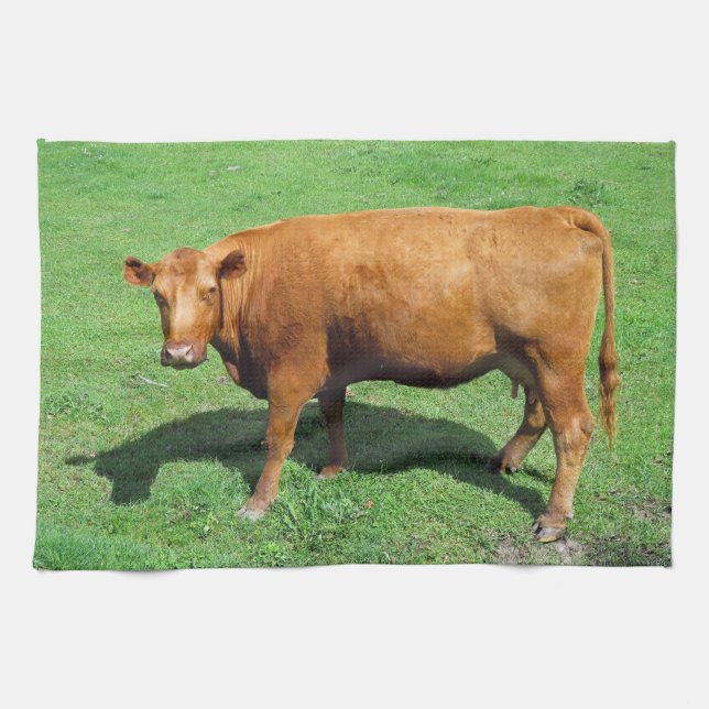 Linge De Cuisine Angus rouge (Horizontal)
