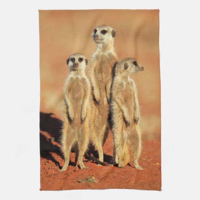 Linge De Cuisine Animaux de bébés cutest | 3 Meerkats (Vertical)