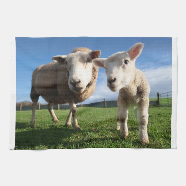 Linge De Cuisine Animaux de bébés cutest | Agneau nouveau-né & mama (Horizontal)