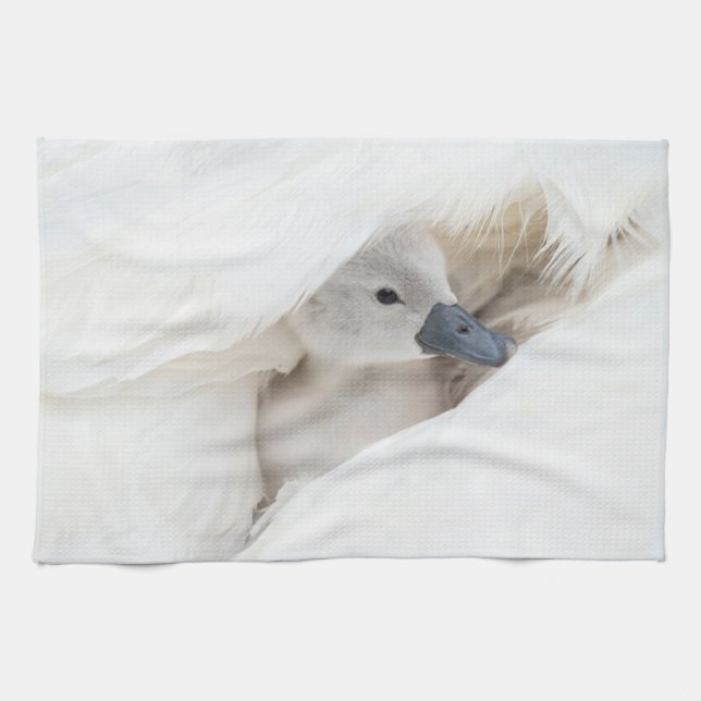 Linge De Cuisine Animaux de bébés cutest | Bébé Mute Swan (Horizontal)