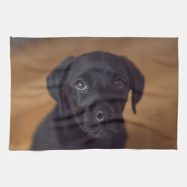Linge De Cuisine Animaux de bébés cutest | Black Labrador Puppy (Horizontal)