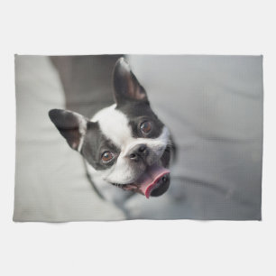 Linge De Cuisine Animaux de bébés cutest Boston Bulldog Smile