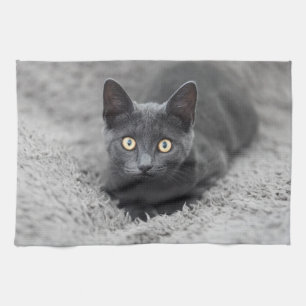 Linge De Cuisine Animaux de bébés cutest   Chat gris