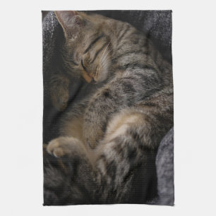 Linge De Cuisine Animaux de bébés cutest   Chat Tabby Dormant